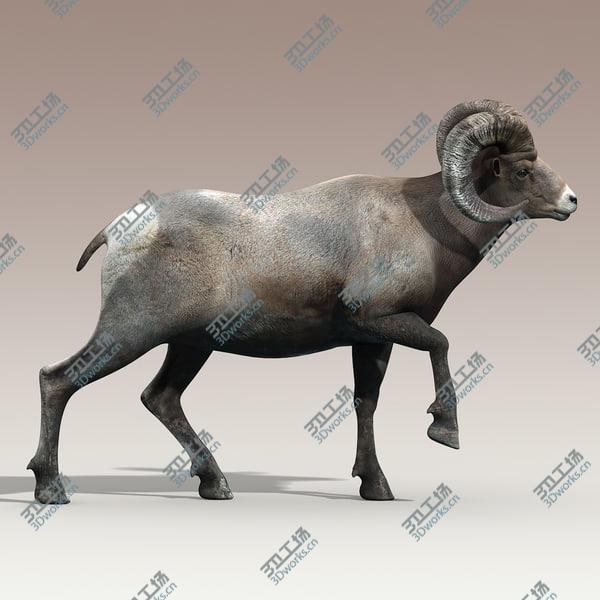 images/goods_img/20210312/Bighorn sheep(RIGGED)/4.jpg